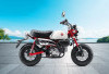 Honda Monkey 2025, Motor Mini dengan Bobot Ringan Tapi Stylish Maksimal!
