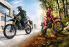 New CRF 150L Hadir dengan Striping dan Warna Baru, Tangguh di Medan Off-Road dan Gaya di Perkotaan