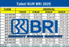Panduan Lengkap Top-Up KUR BRI 2025, Cek Syarat dan Prosedurnya!