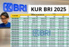 Modal Usaha Tanpa Ribet! KUR BRI 2025 Bisa Diajukan Online, Cek Syarat dan Jenisnya