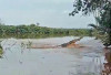 Sungai Air Sugihan  Jadi Habitat Puluhan Buaya, Masyarakat Diimbau Waspada