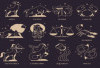 Ramalan Zodiak 9 Oktober 2025: Cinta, Karier, Keuangan, dan Kesehatan
