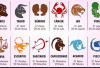 Ramalan Zodiak 12 September 2025: Hari Penuh Energi, Tantangan, dan Kejutan untuk Setiap Bintang